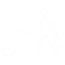 Class Icon